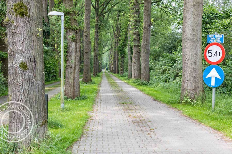 oprijlaan natuurpark Calluna