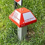 paddenstoel